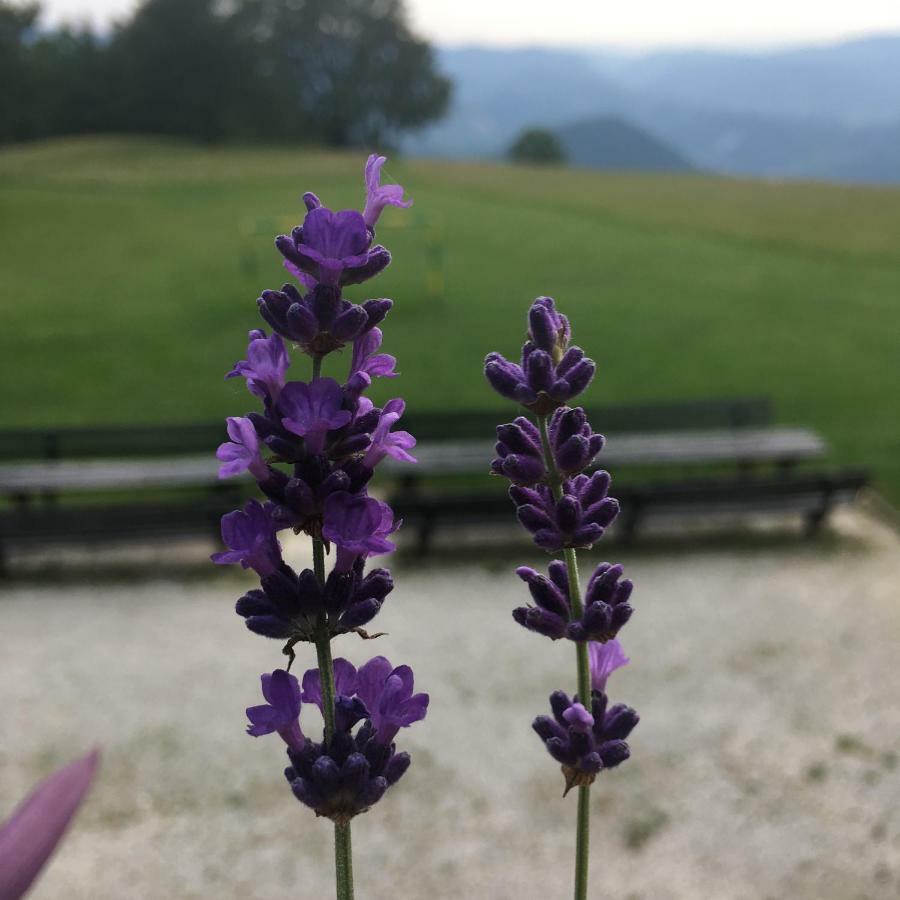 Planinski Dom Na Kalu Dol pri Hrastniku Exterior foto